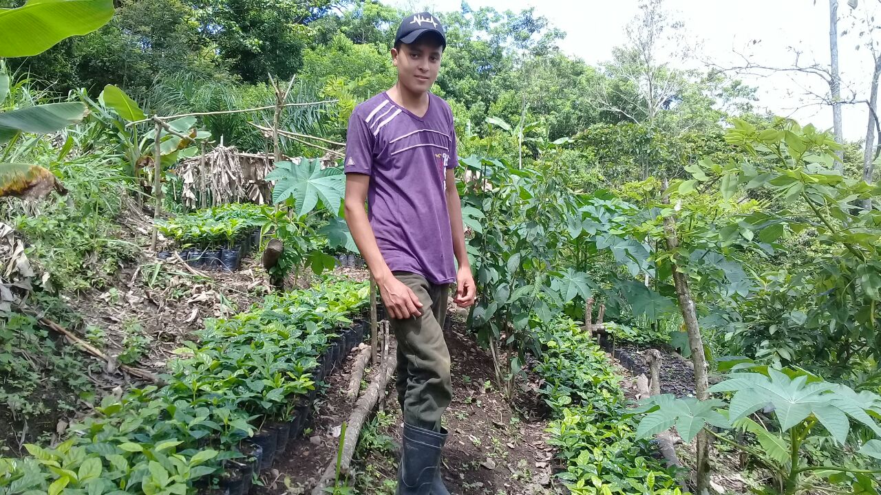 quilali